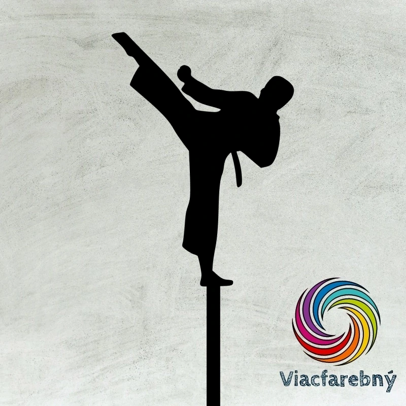 Taekwondo chlapec - Viacfarebný zápich