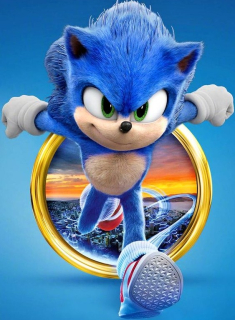Ježko Sonic OBDĹŽNIK - typ 1