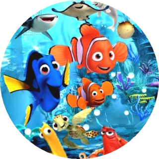 Hľadá sa Nemo KRUH - typ 1