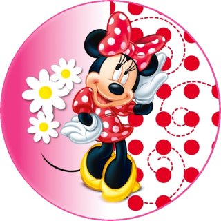 Mickey a Minnie Mouse KRUH - typ 5