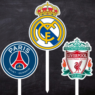 Futbalové logo - zápich ( 1 kus )