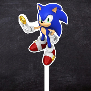 Zápich Sonic