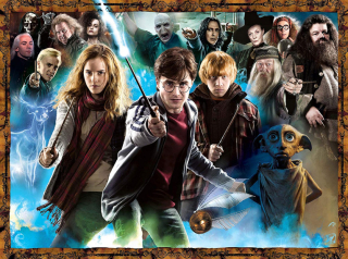 Harry Potter OBDĹŽNIK - typ 1