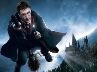 Harry Potter OBDĹŽNIK - typ 2