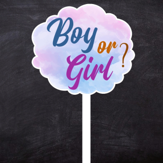 Zápich "Boy or Girl" (rôzne veľkosti)