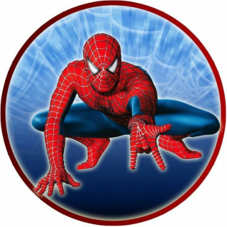 Spiderman KRUH - typ 6