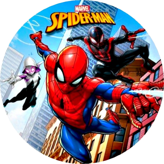 Spiderman KRUH - typ 7