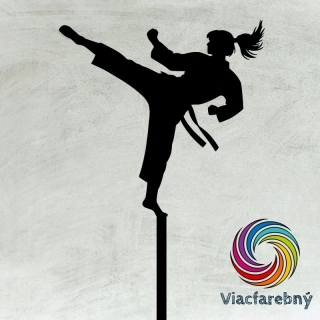 Taekwondo dievča - Viacfarebný zápich