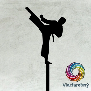 Taekwondo chlapec - Viacfarebný zápich